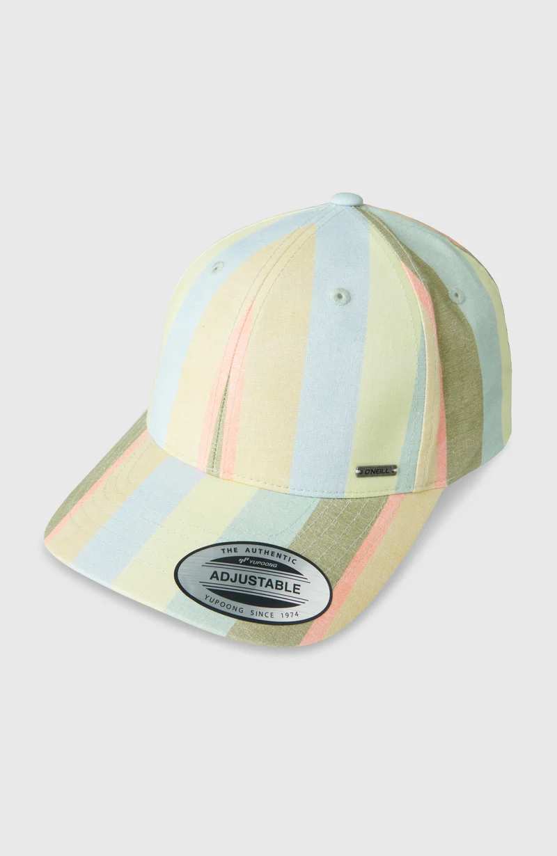 Seacoast pet | Multi Must Haves Stripe