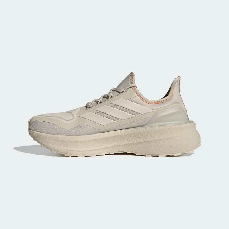 adidas Men Ultraboost 5 GTX