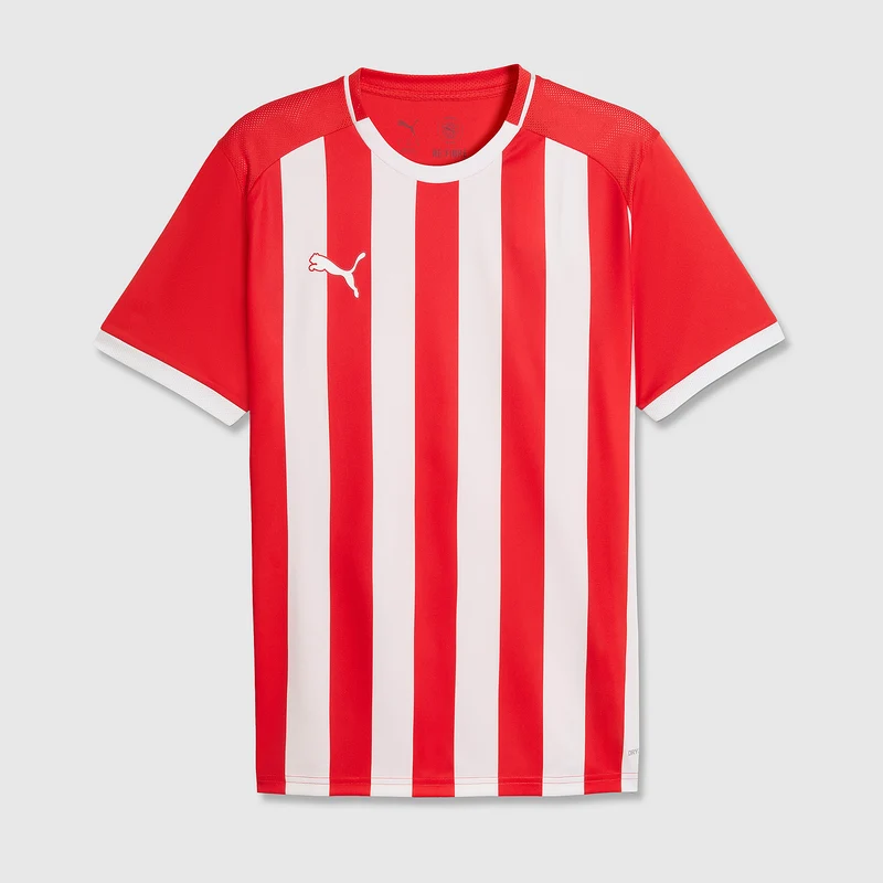 Puma Junior teamLIGA 26 SS Striped Shirt