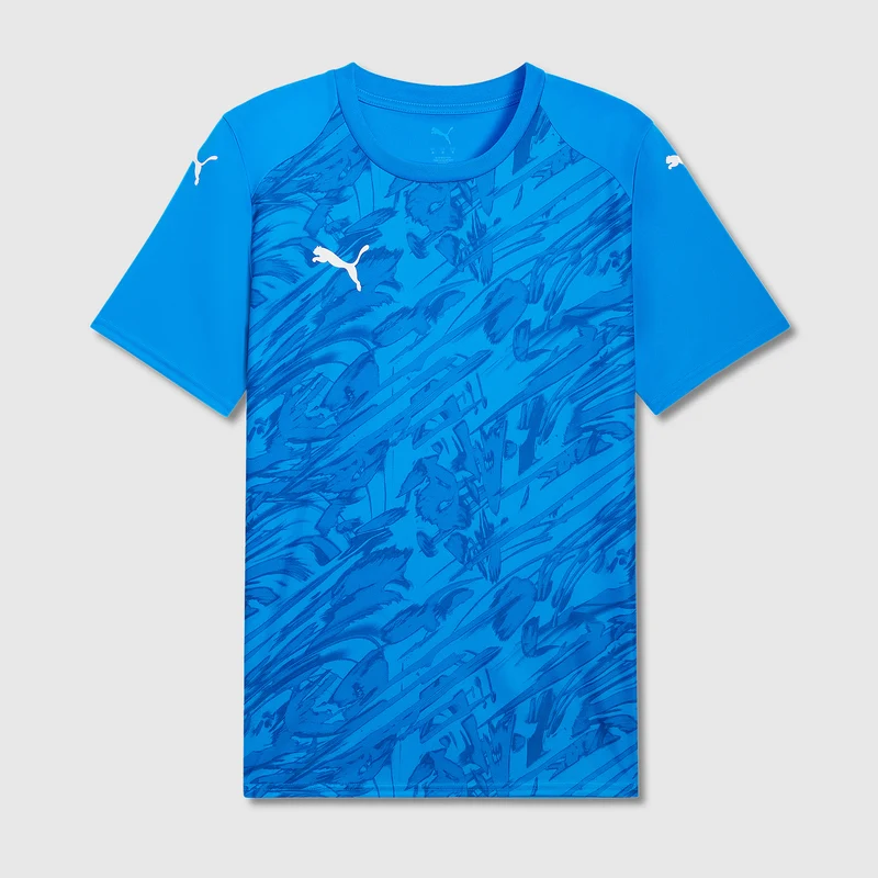 Puma Junior teamFINAL 26 SS Graphic Shirt