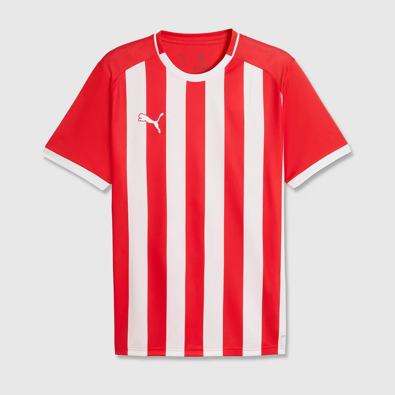 Puma teamLIGA 26 SS Striped Shirt