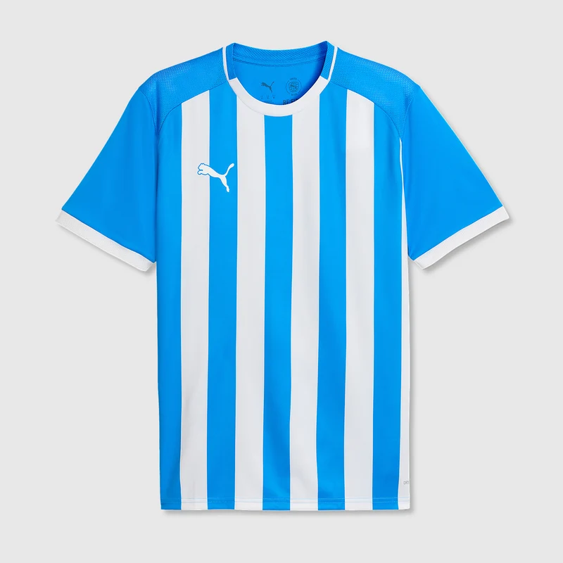 Puma teamLIGA 26 SS Striped Shirt