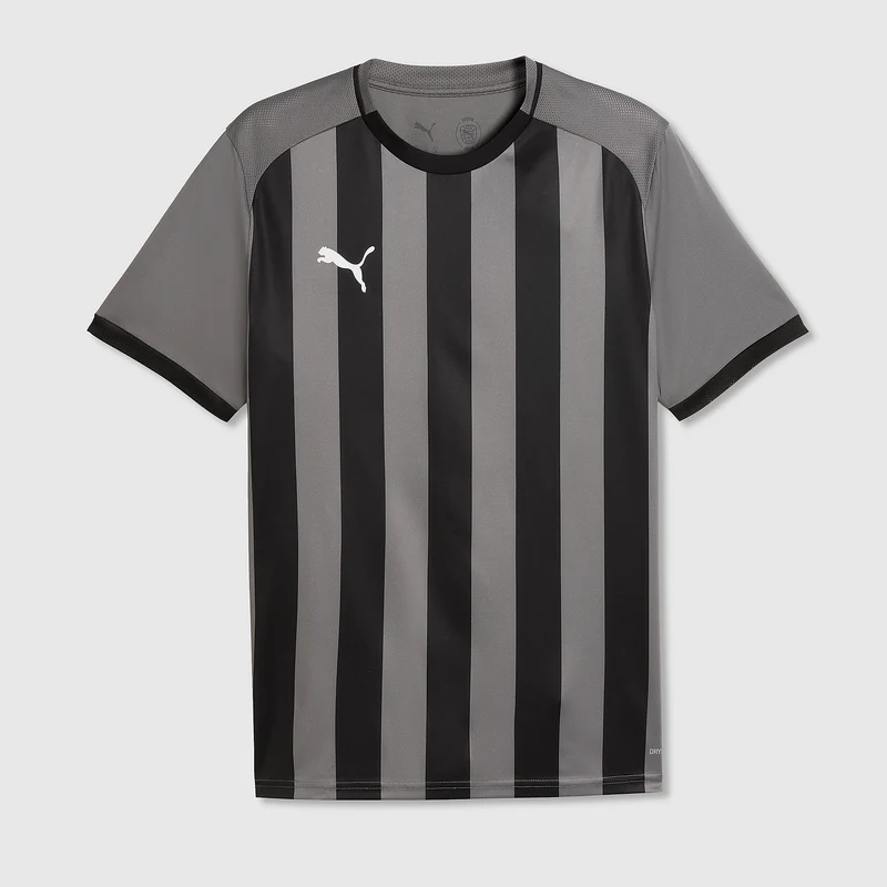 Puma teamLIGA 26 SS Striped Shirt