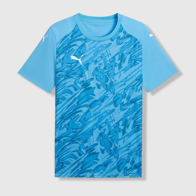 Puma teamFINAL 26 SS Graphic Shirt
