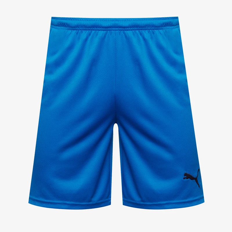 Puma fastMOVE Shorts