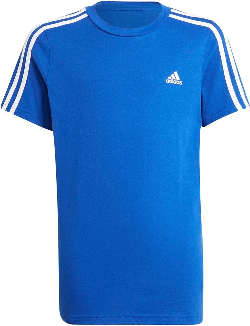 B 3s T