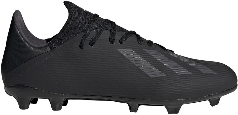 x 19.3 fg