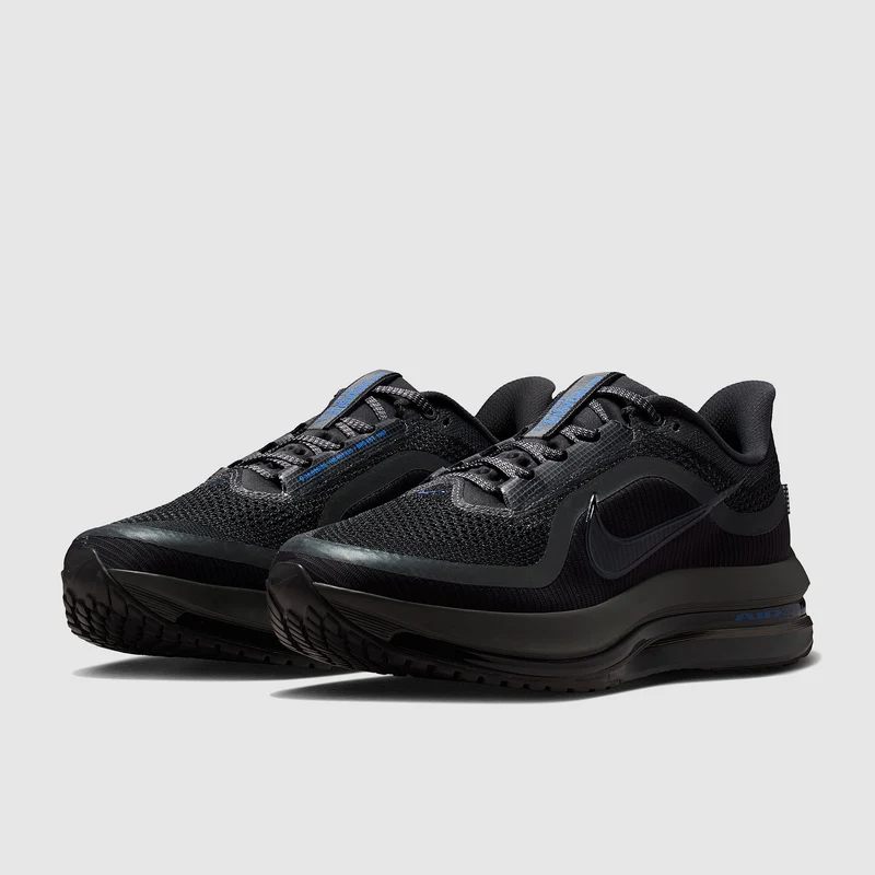 Nike Pegasus Premium