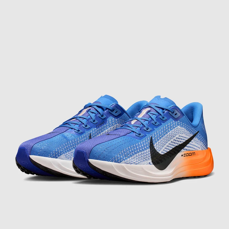 Nike Pegasus Plus