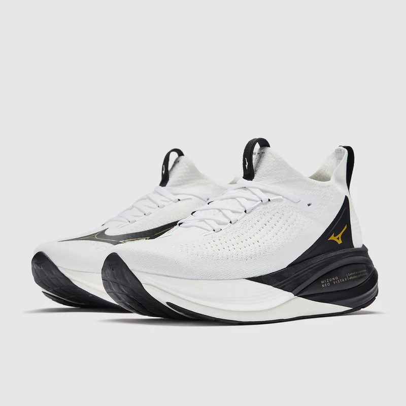 Mizuno Neo Vista 2