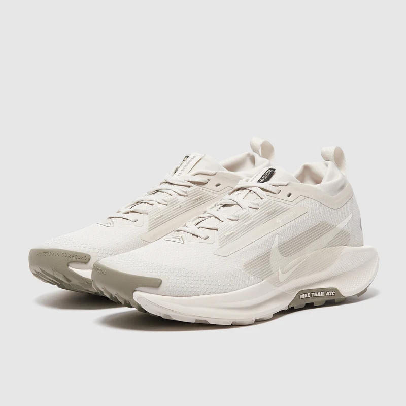 Nike Pegasus Trail 5 GORE-TEX