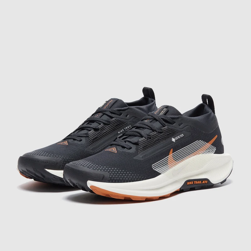 Nike Womens Pegasus Trail 5 GORE-TEX