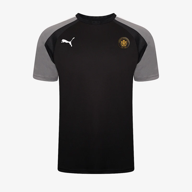 Puma Junior Carrick Rangers Academy 24/25 Training SS Shirt