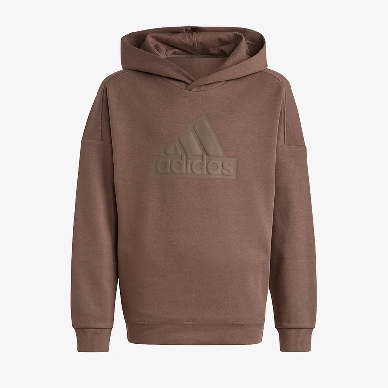 adidas Originals Future Icons Older Kids Logo Hoodie (7-16Y)